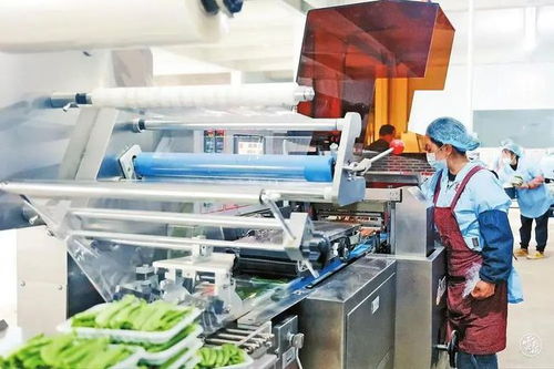 rcep已 就位 ,云南如何與之執手共舞